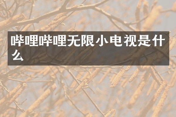 哔哩哔哩无限小电视是什么