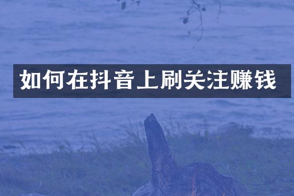 如何在抖音上刷关注赚钱