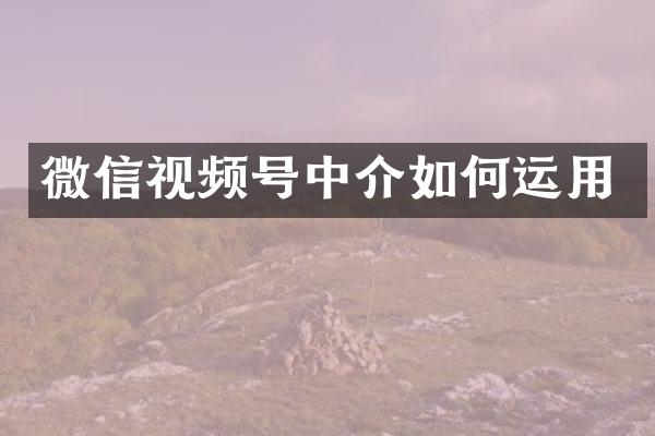微信视频号中介如何运用