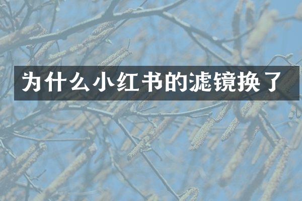 为什么小红书的滤镜换了