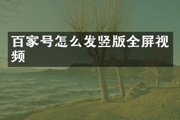百家号怎么发竖版全屏视频