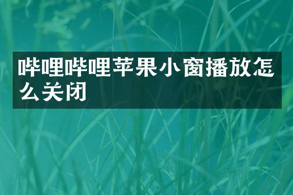 哔哩哔哩苹果小窗播放怎么关闭