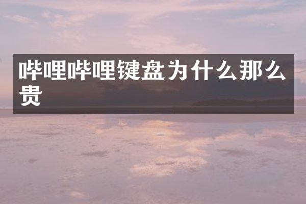 哔哩哔哩键盘为什么那么贵