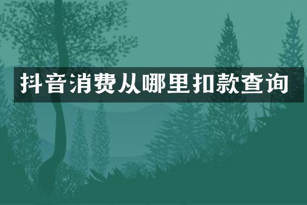 抖音消费从哪里扣款查询