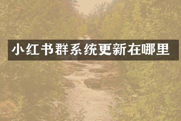 小红书群系统更新在哪里