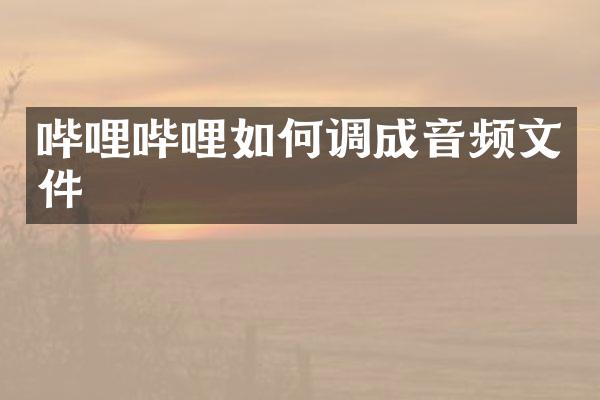 哔哩哔哩如何调成音频文件