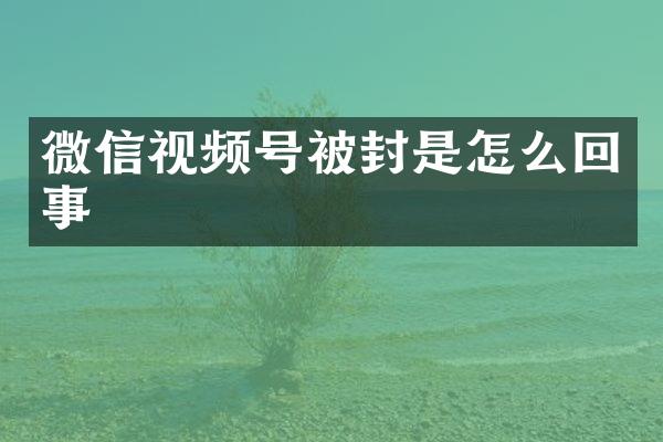 微信视频号被封是怎么回事