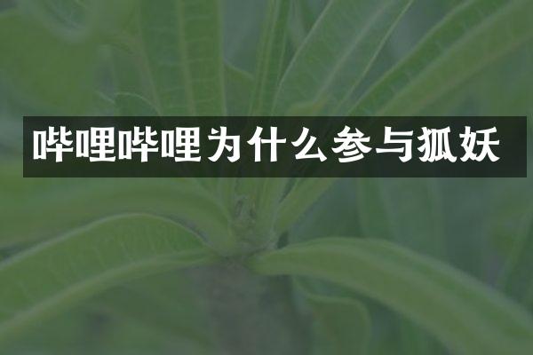 哔哩哔哩为什么参与狐妖