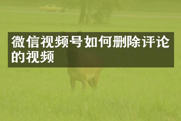 微信视频号如何删除评论的视频