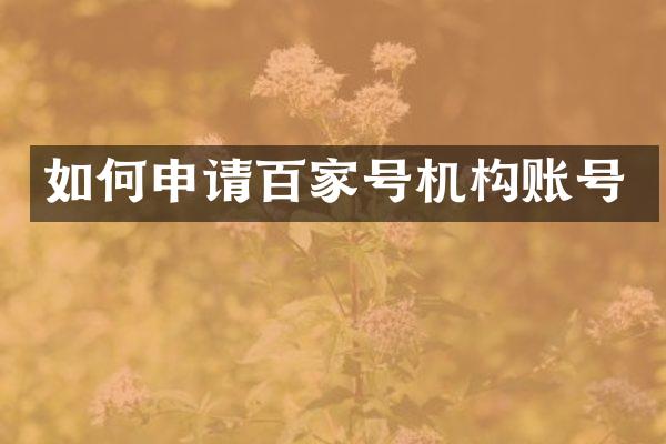 如何申请百家号机构账号