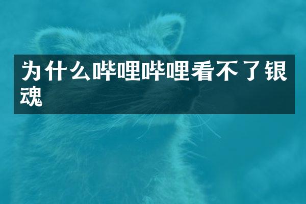 为什么哔哩哔哩看不了银魂