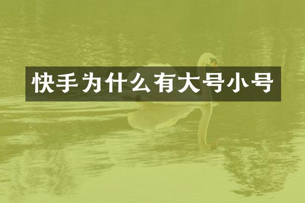 快手为什么有大号小号