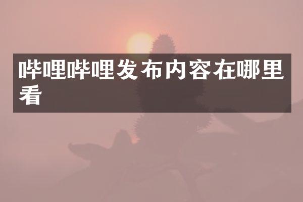 哔哩哔哩发布内容在哪里看