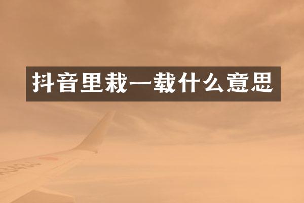 抖音里栽一载什么意思