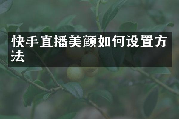 快手直播美颜如何设置方法