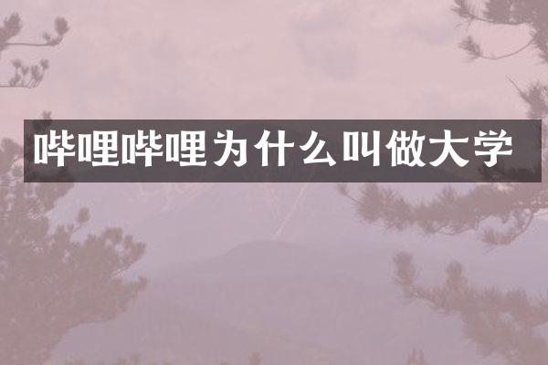 哔哩哔哩为什么叫做大学