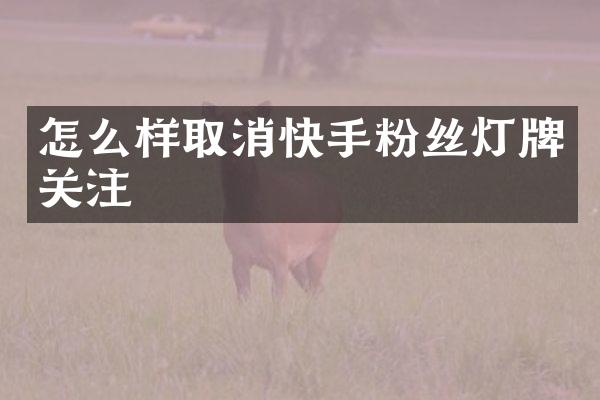怎么样取消快手粉丝灯牌关注