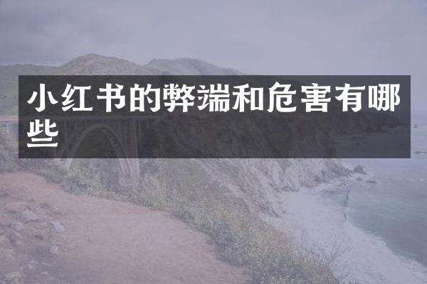 小红书的弊端和危害有哪些
