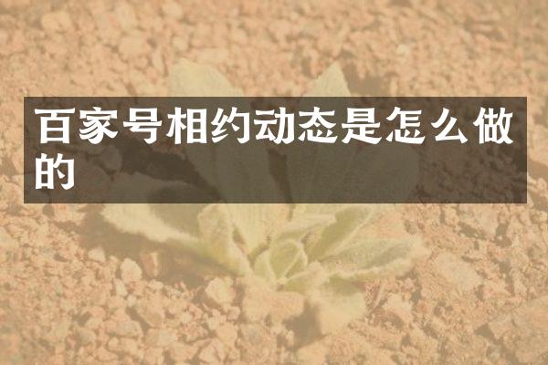 百家号相约动态是怎么做的