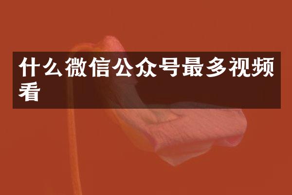 什么微信公众号最多视频看