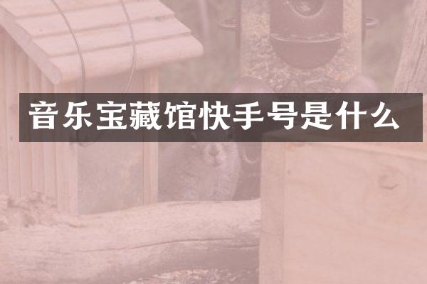 音乐宝藏馆快手号是什么