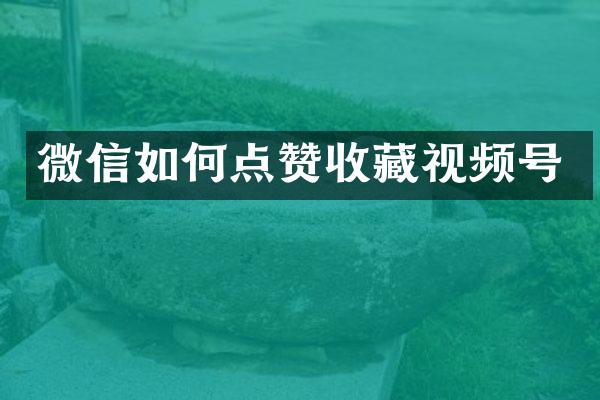 微信如何点赞收藏视频号