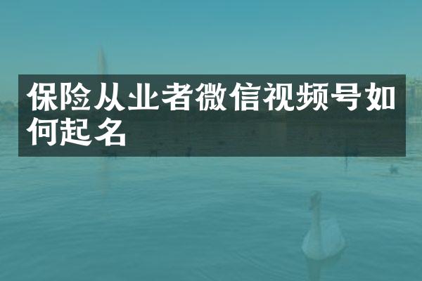 保险从业者微信视频号如何起名