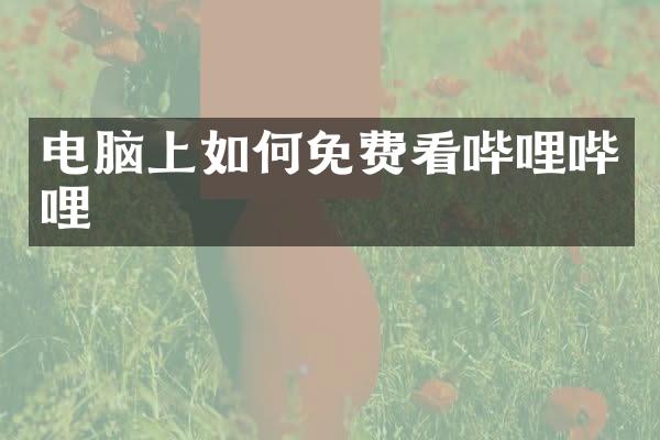 电脑上如何免费看哔哩哔哩