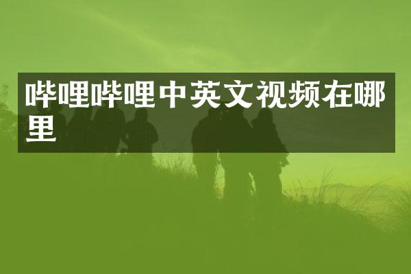 哔哩哔哩中英文视频在哪里