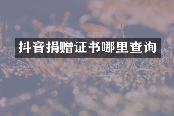 抖音捐赠证书哪里查询