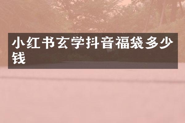 小红书玄学抖音福袋多少钱