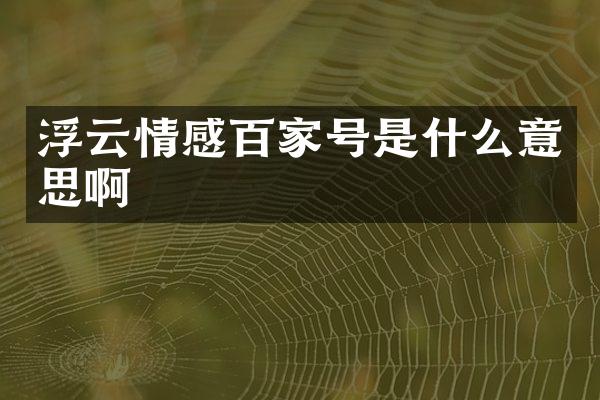 浮云情感百家号是什么意思啊
