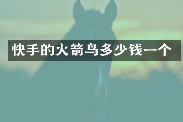 快手的火箭鸟多少钱一个