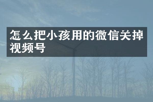怎么把小孩用的微信关掉视频号