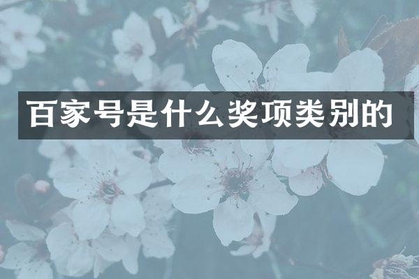百家号是什么奖项类别的