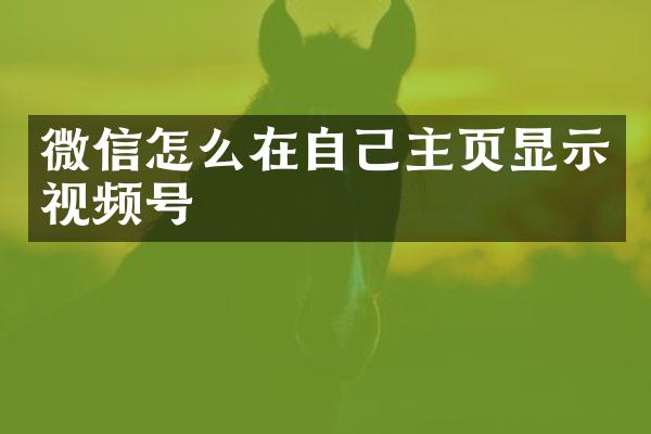 微信怎么在自己主页显示视频号