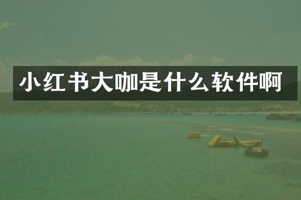 小红书大咖是什么软件啊