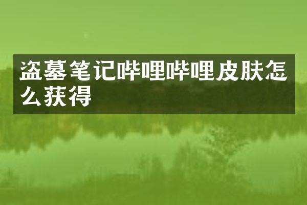 盗墓笔记哔哩哔哩皮肤怎么获得