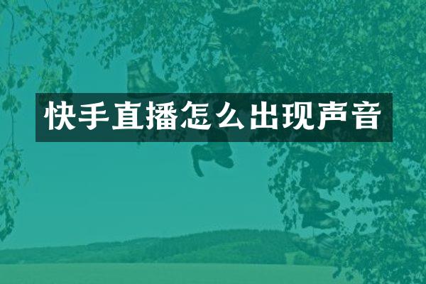 快手直播怎么出现声音