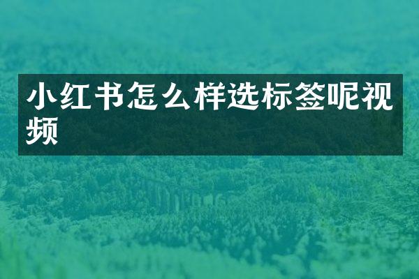 小红书怎么样选标签呢视频