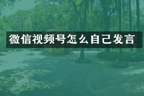 微信视频号怎么自己发言
