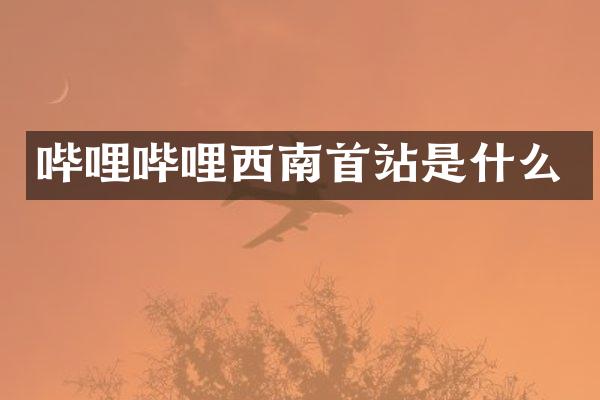 哔哩哔哩西南首站是什么