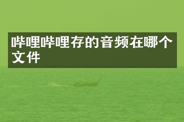 哔哩哔哩存的音频在哪个文件