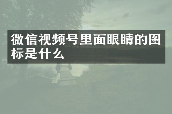 微信视频号里面眼睛的图标是什么