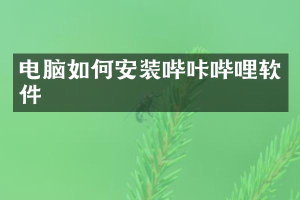 电脑如何安装哔咔哔哩软件