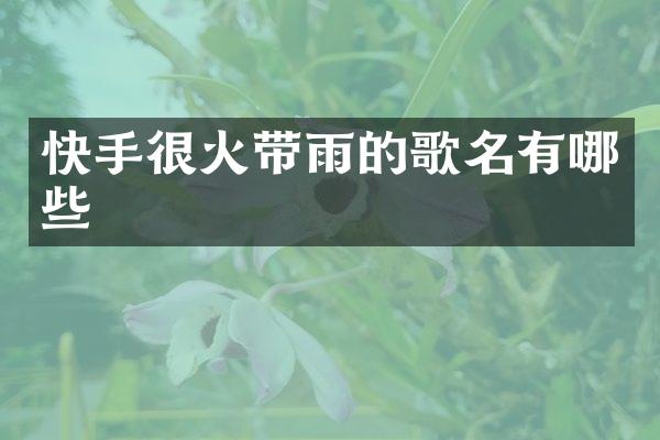 快手很火带雨的歌名有哪些