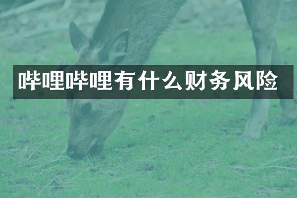 哔哩哔哩有什么财务风险