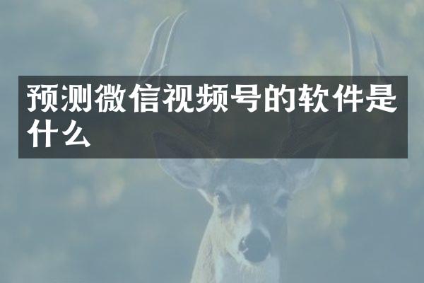 预测微信视频号的软件是什么