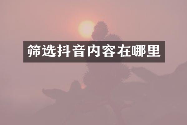 筛选抖音内容在哪里