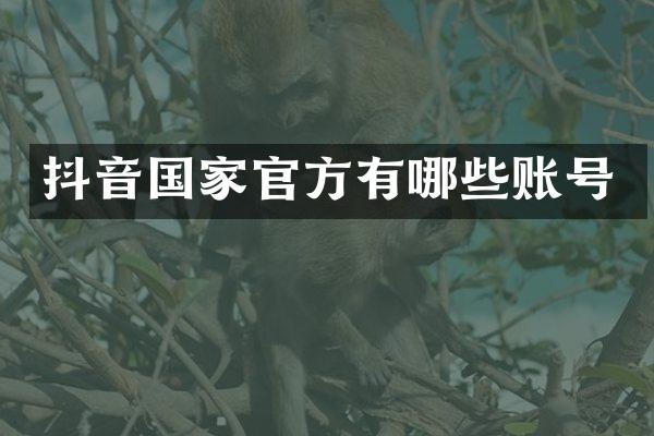 抖音国家官方有哪些账号